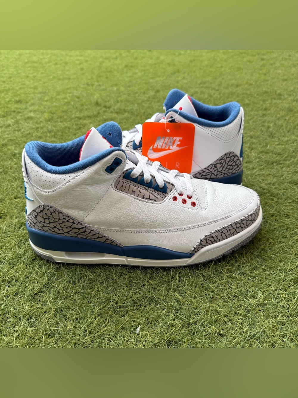 Air Jordan 3 Retro OG